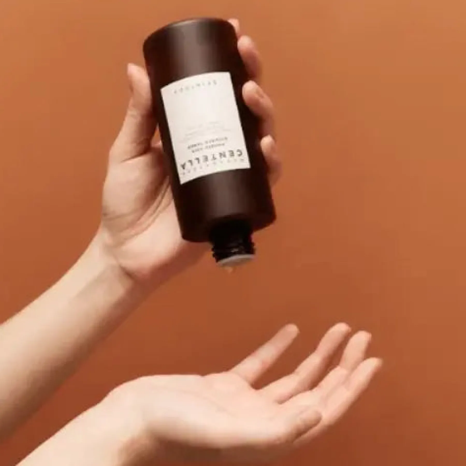 Hot Madagascar Centella Probio-Cica Essence Toner Hauptzutat|Calming Toners