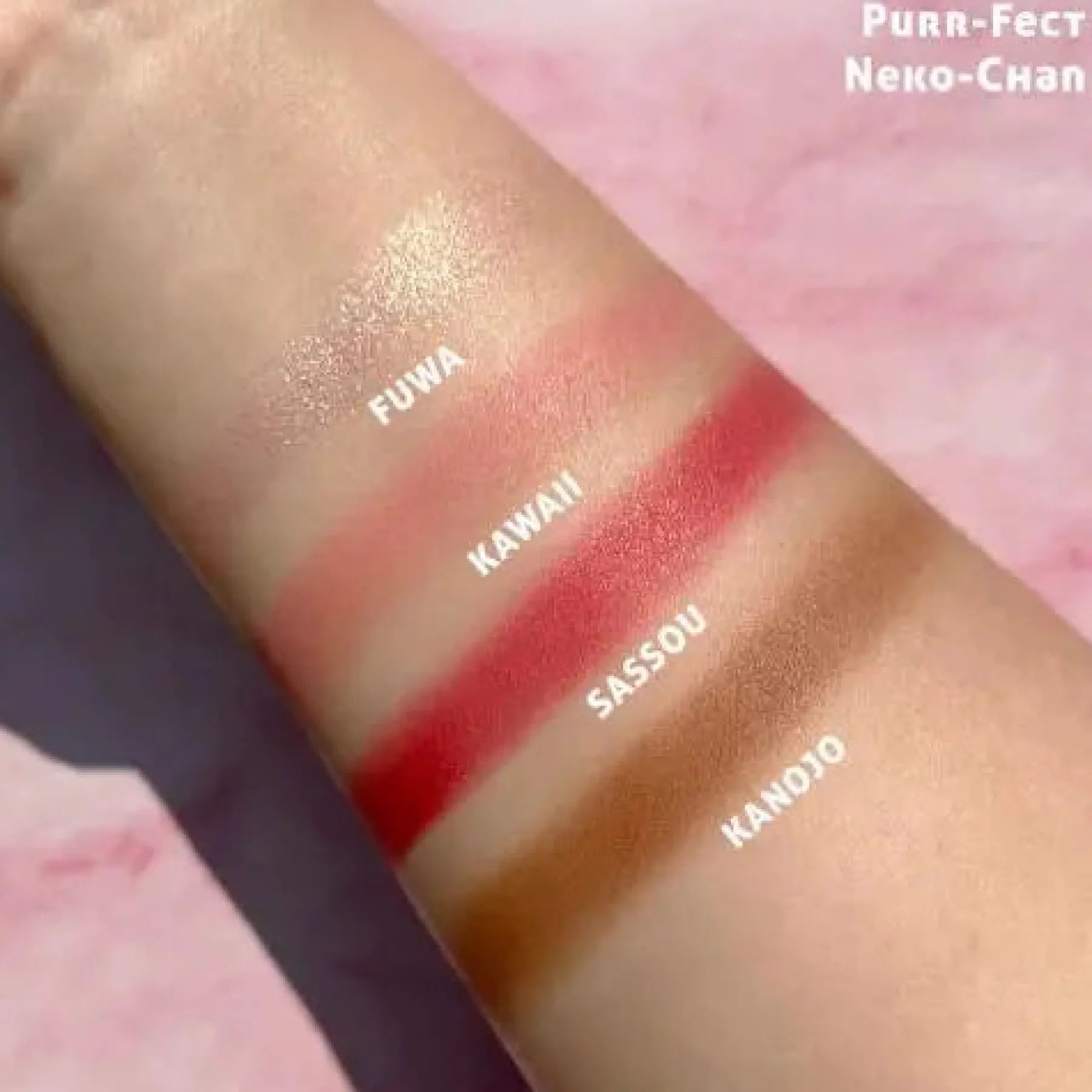 New Manga Collection Face Palette Purr-fect Neko-Chan Rouge