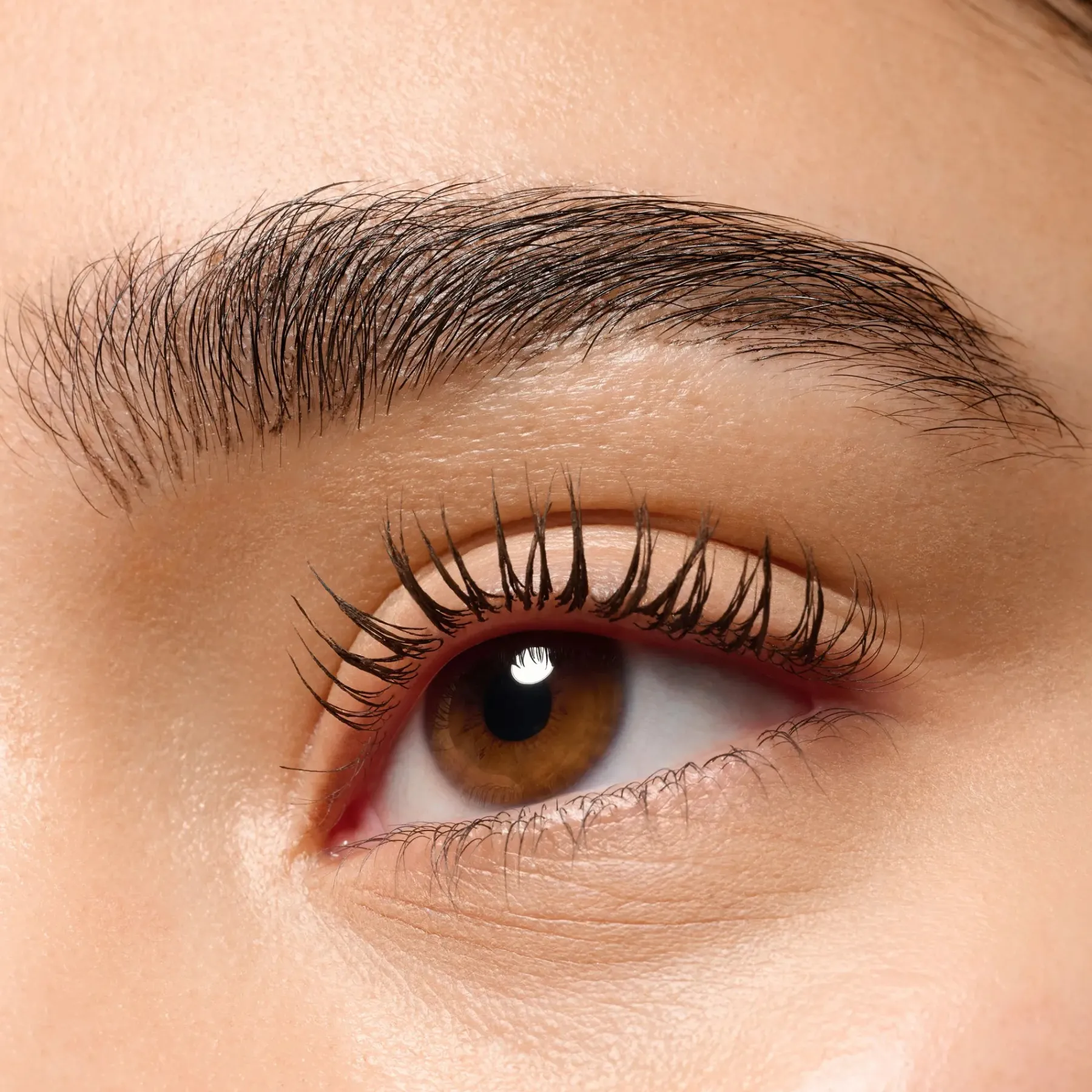 Outlet Microblading Brow Brush Liner Vegane Augenbrauen Produkten|Augenbrauen