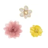 Sale MyClaw Set Hothouse Florals Haarspangen & -Clips
