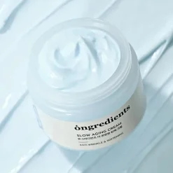Online Slow Aging Cream Feuchtigkeitscremes|Vegan Pflege