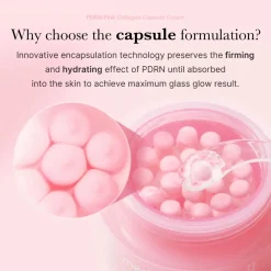 Outlet PDRN Pink Collagen Capsule Cream Alle Korean Skincare|Hauptzutat