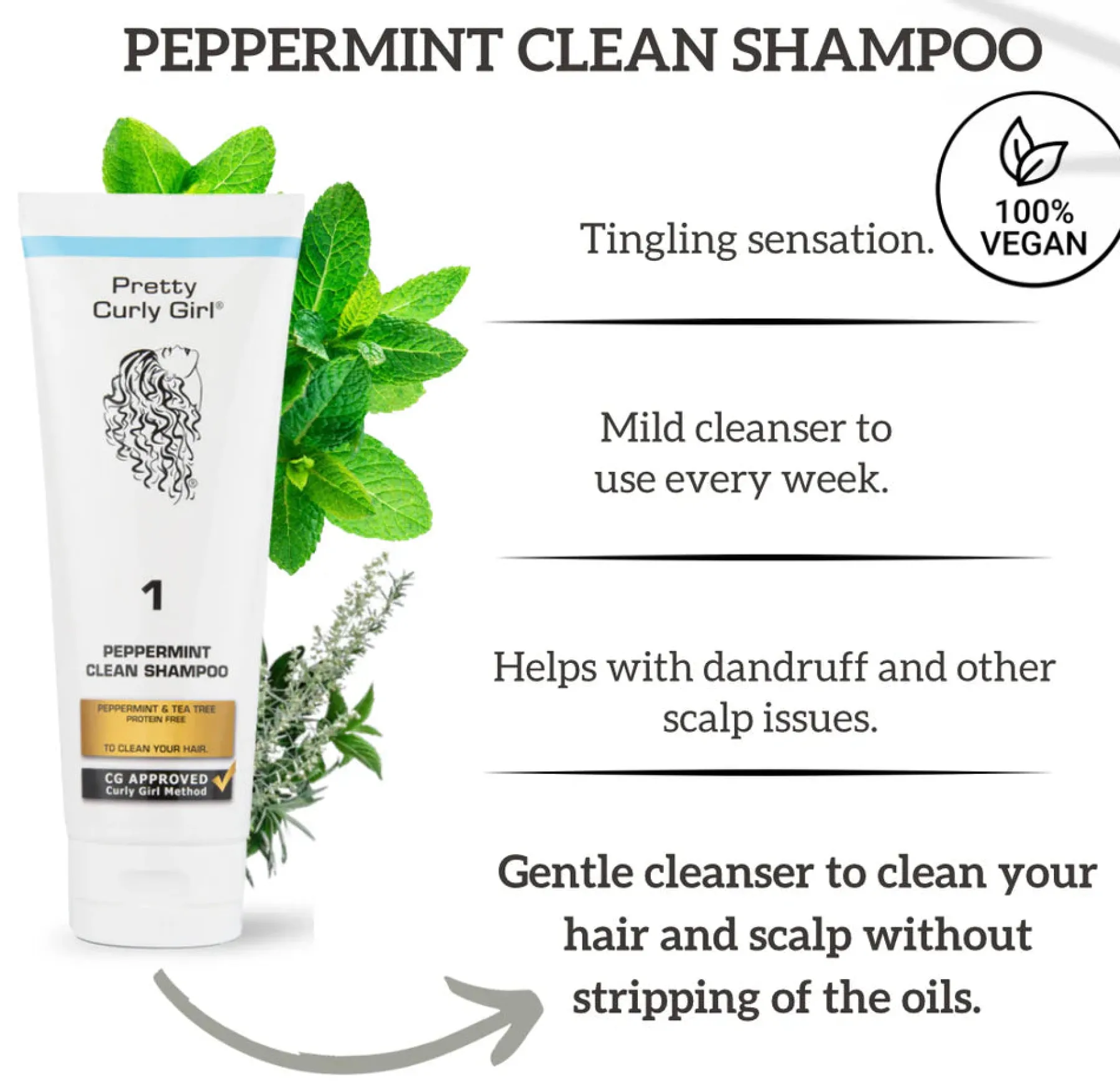 Sale Peppermint Clean Shampoo & Leave In Conditioner Haarpflege-Routinen & Sets|8. Routinen & Sets