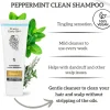 Peppermint Clean Shampoo 100 ml. Shampoo|Vegane Haarpflege