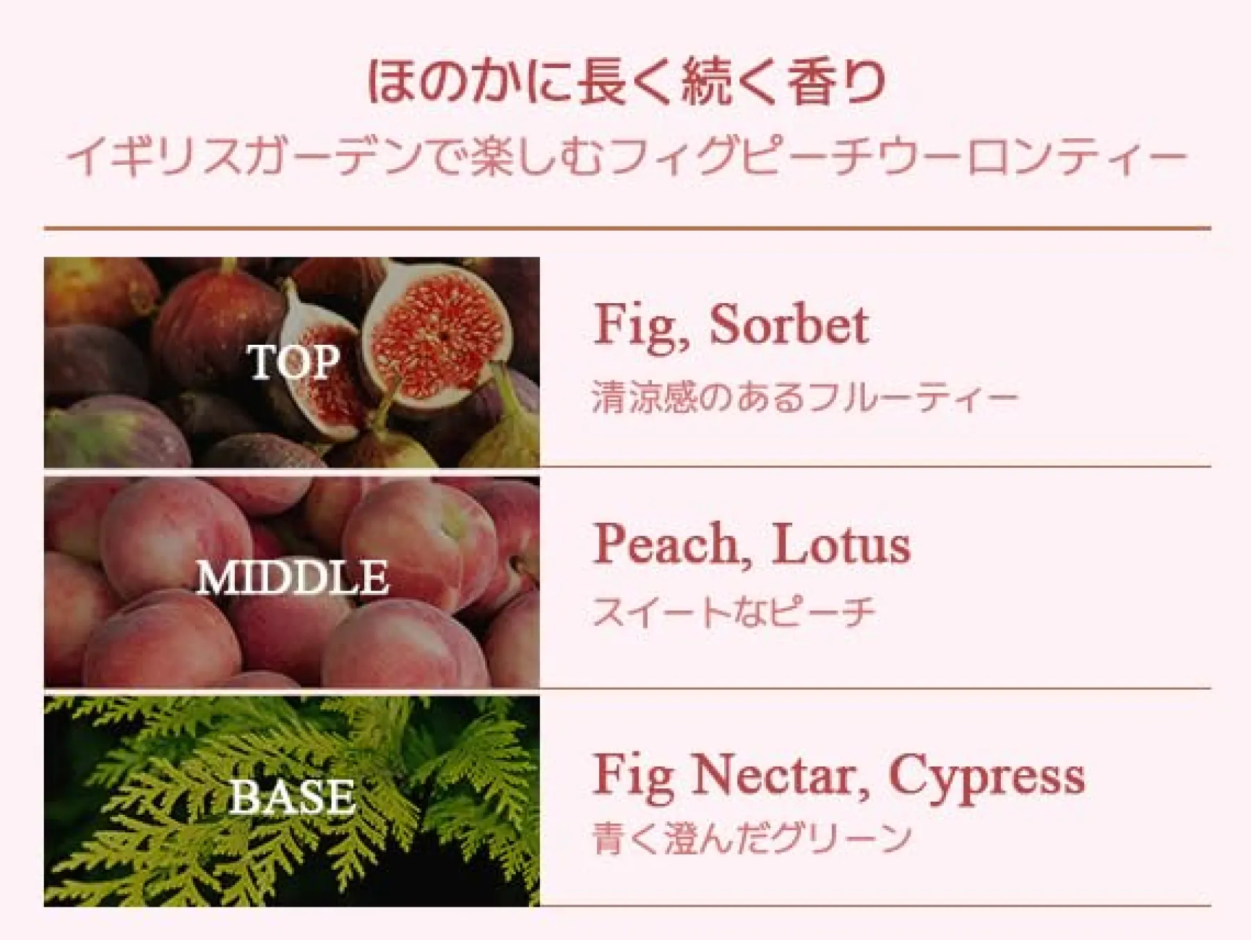 Discount Perfume Body Wash Fig Peach Oolong Tea Alle Korean Skincare|Hautprobleme