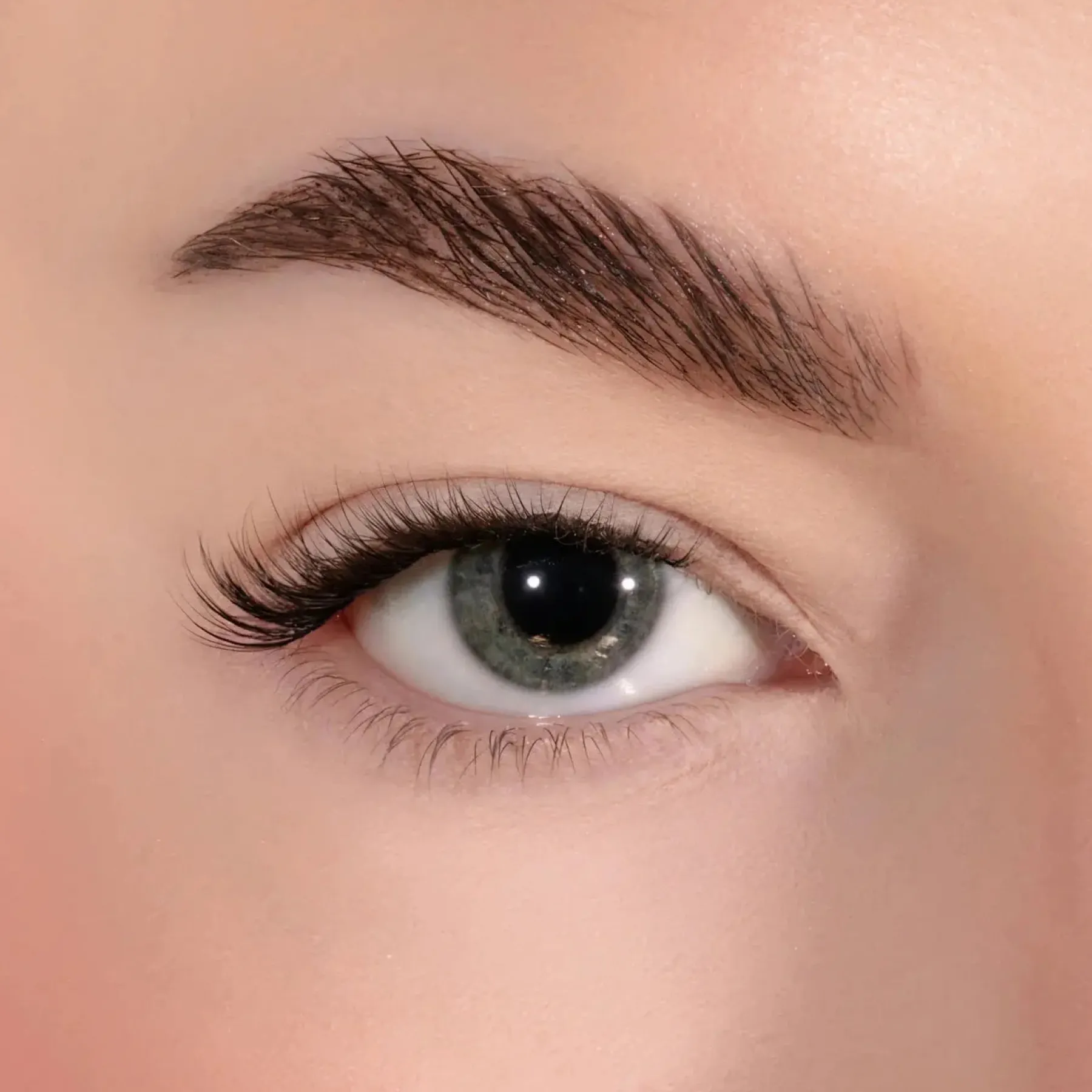 Online Petite Natural Pre Mapped Pre Glued Lashes Künstliche Wimpern