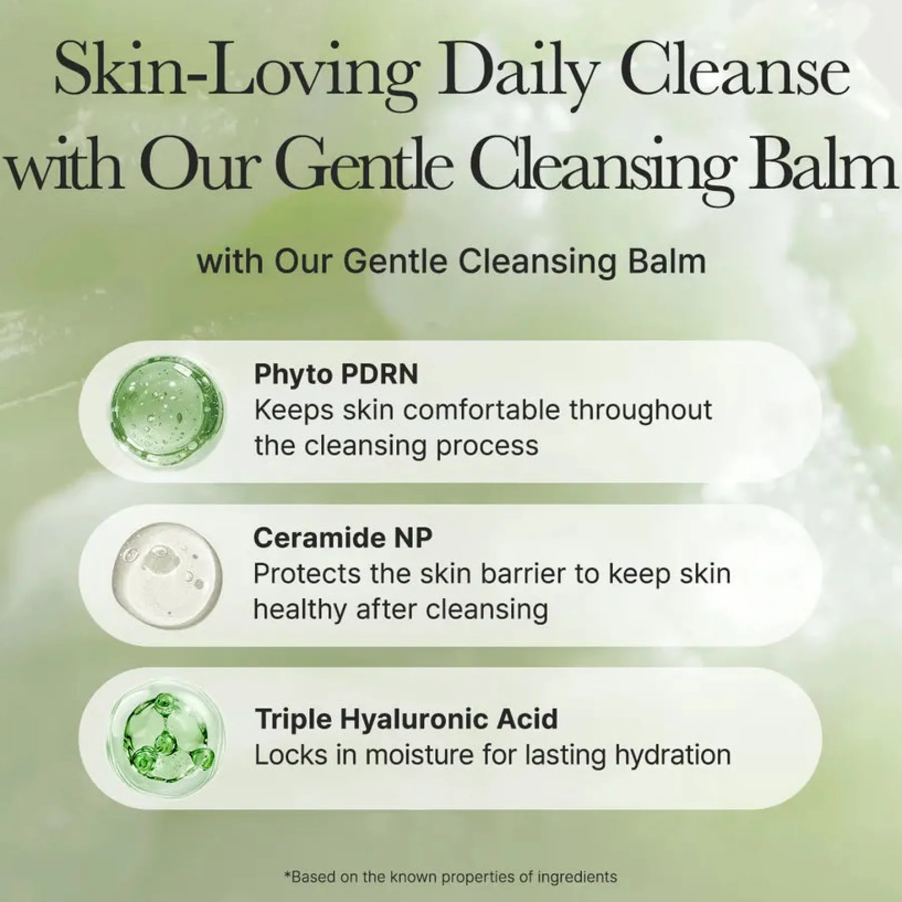 Discount Pore Melt Phyto PDRN Cleansing Balm Makeup Entferner|Hauptzutat