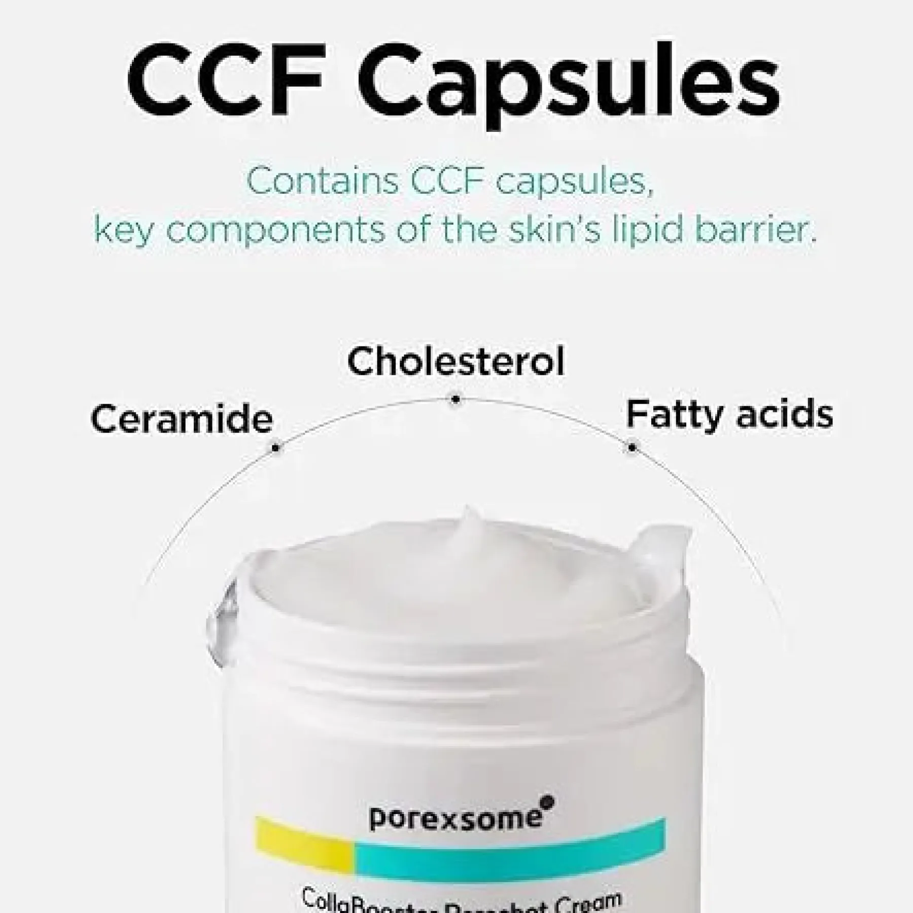 Outlet Porexsome Collabooster Poreshot Cream Feuchtigkeitscremes|Hauptzutat