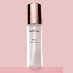 Clearance PWR Setting Spray Fixier Spray|Setting Spray