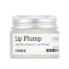 Discount Refresh AHA BHA Vitamin C Lip Plumper Lipgloss|Clean Beauty