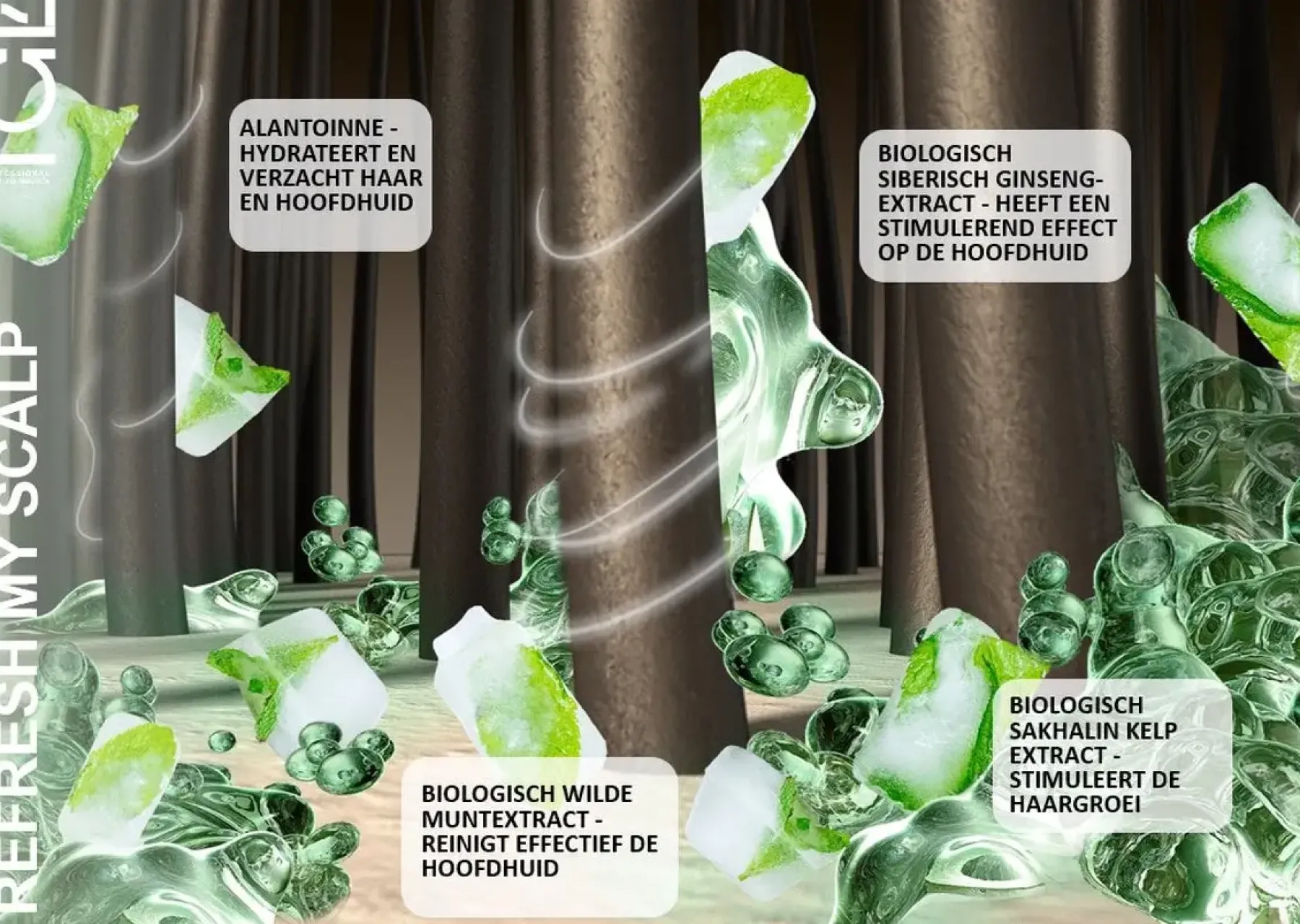 Refresh My Scalp Peeling Hair Growth|11 Schritte Haarpflege Routine