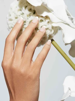 Clearance Reusable Pop-On Manicure French 75 Round Künstliche Nägel|Veganer Nagellack