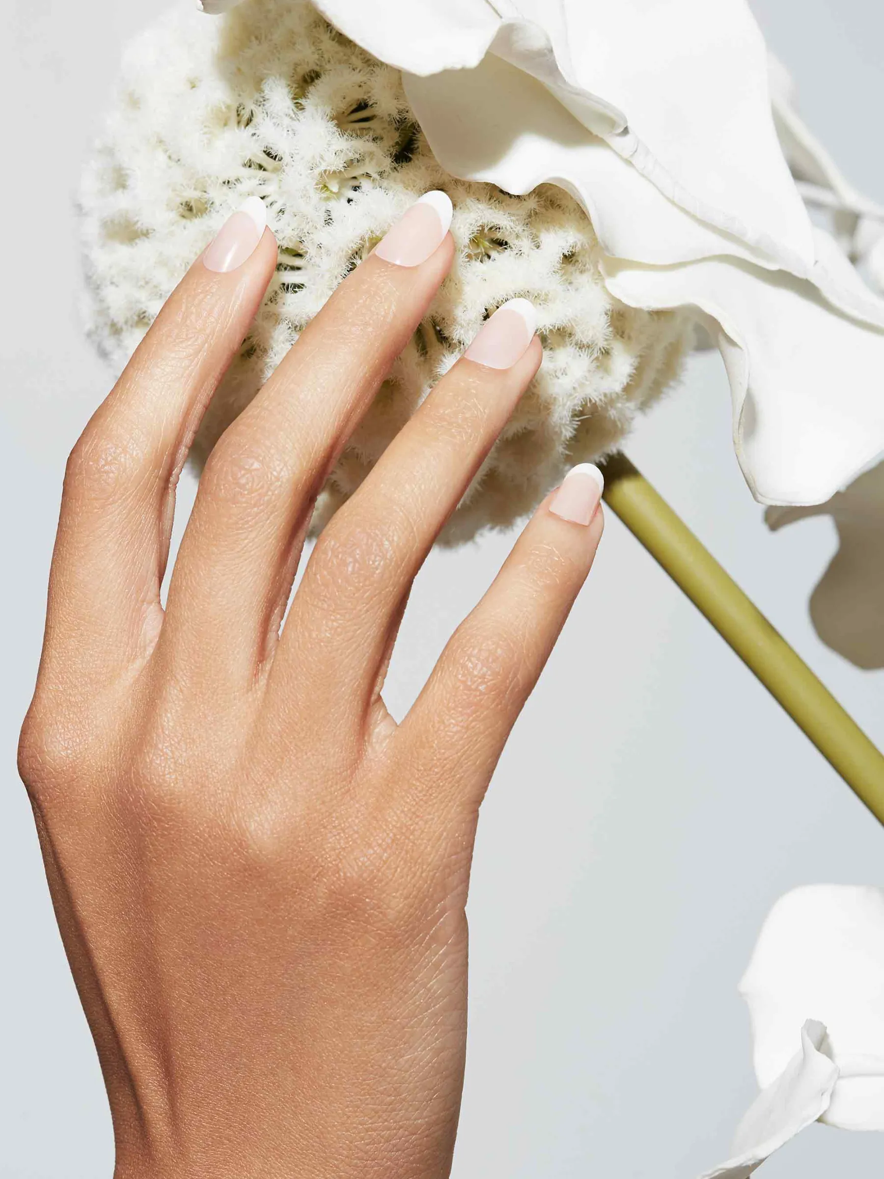 Clearance Reusable Pop-On Manicure French 75 Round Künstliche Nägel|Veganer Nagellack