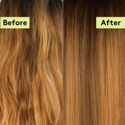 Sale Rich Roots 3-in-1 Nourishing Hair Mask Amla & Coconut Hair Growth|11 Schritte Haarpflege Routine