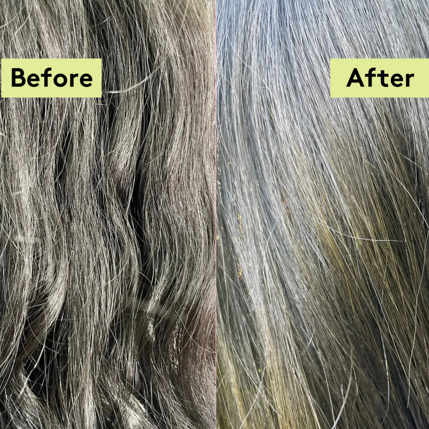 New Rich Roots Repair & Shine Conditioner Amla & Rosemary Hair Growth|Hauptzutat