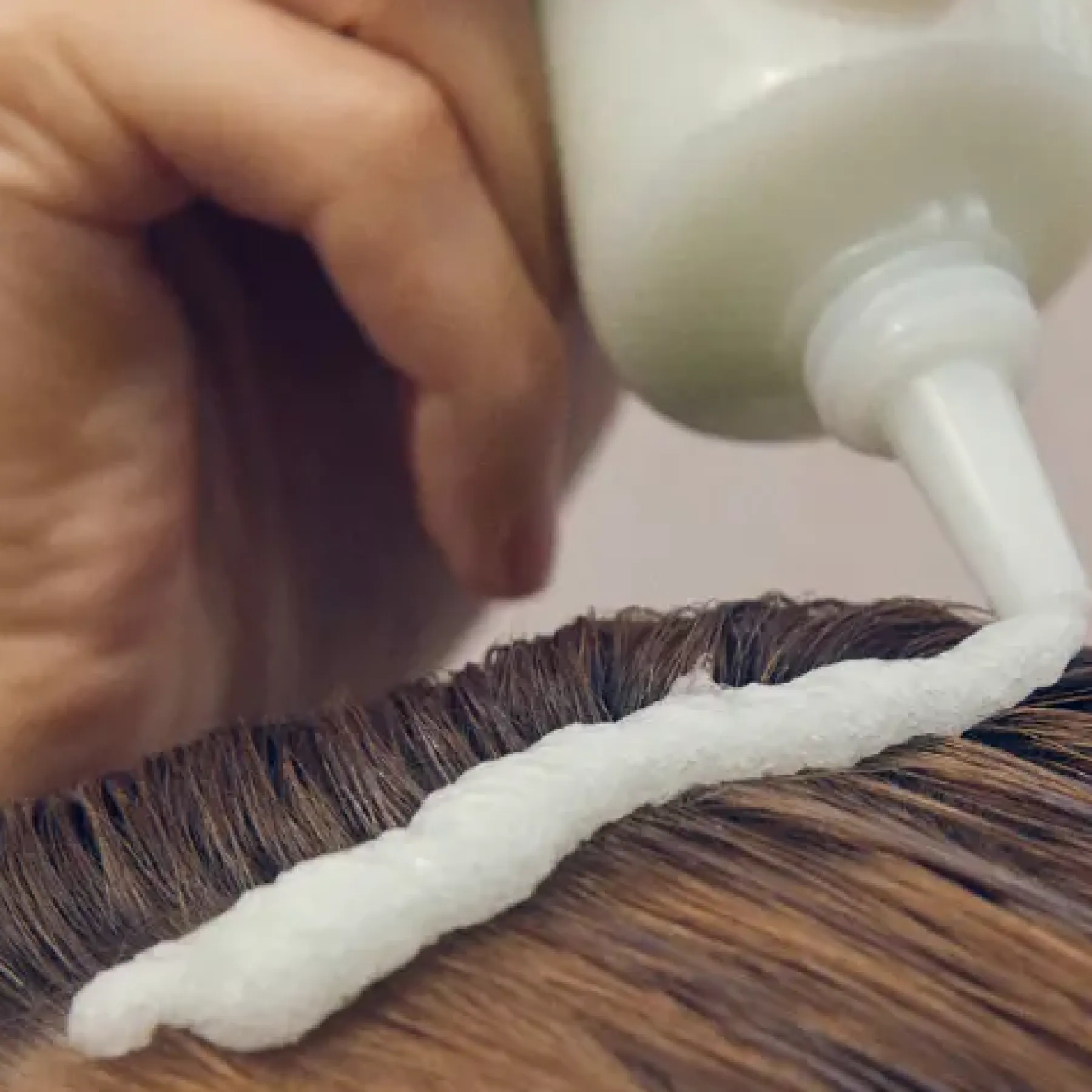 Online Rosemary Scalp Scrub Korean Haarpflege|11 Schritte Haarpflege Routine