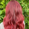 New 66 Ruby Rouge Haarfärbemittel|Vegane Haarpflege