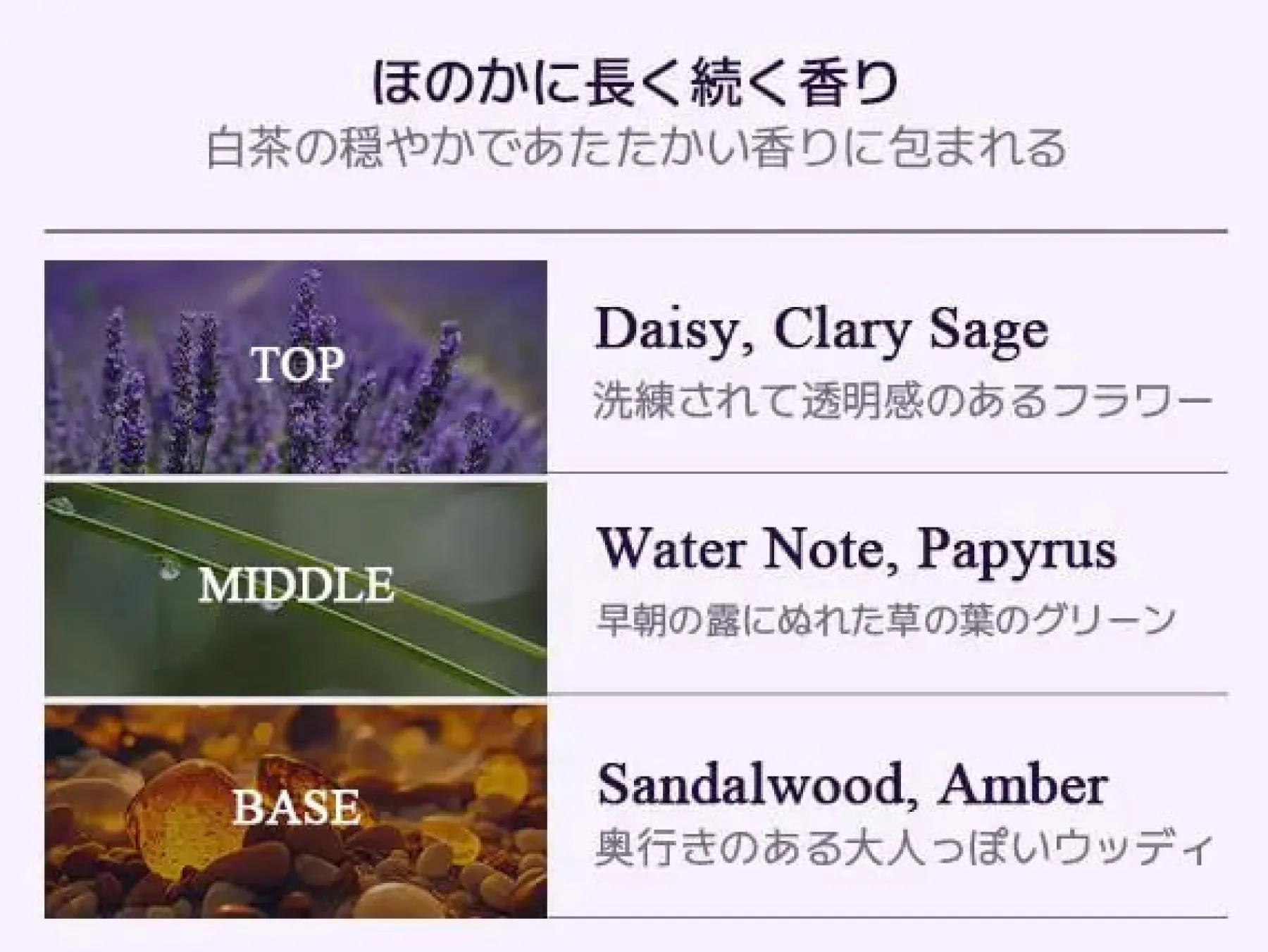 Sage Amber Purple Tea Perfume Body Lotion Everything Shower|Hautprobleme