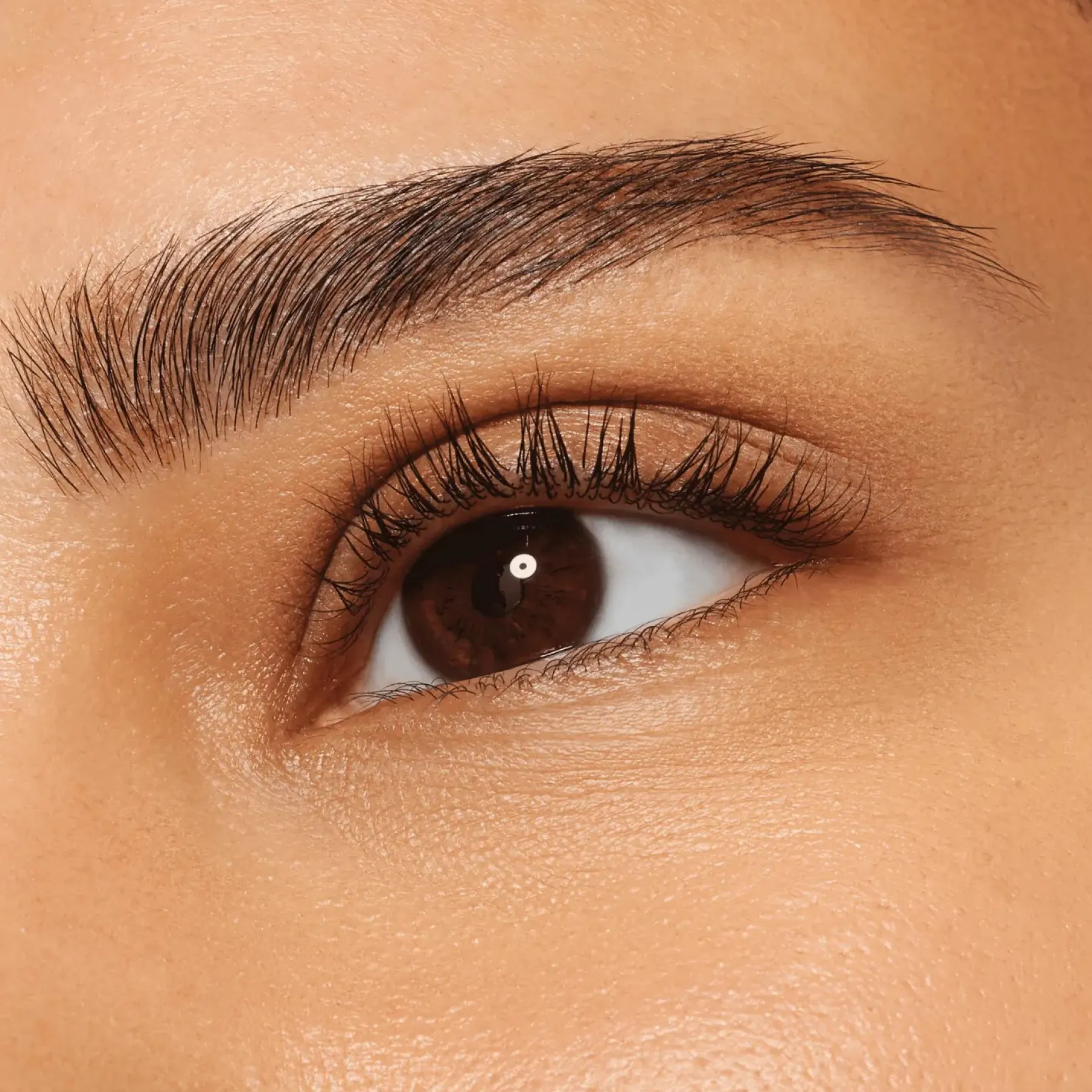 Best Shape & Shade Brow Pencil Waterproof Augenbrauen