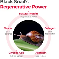 Clearance Snail Truecica Miracle Repair Cream Feuchtigkeitscremes|Hauptzutat