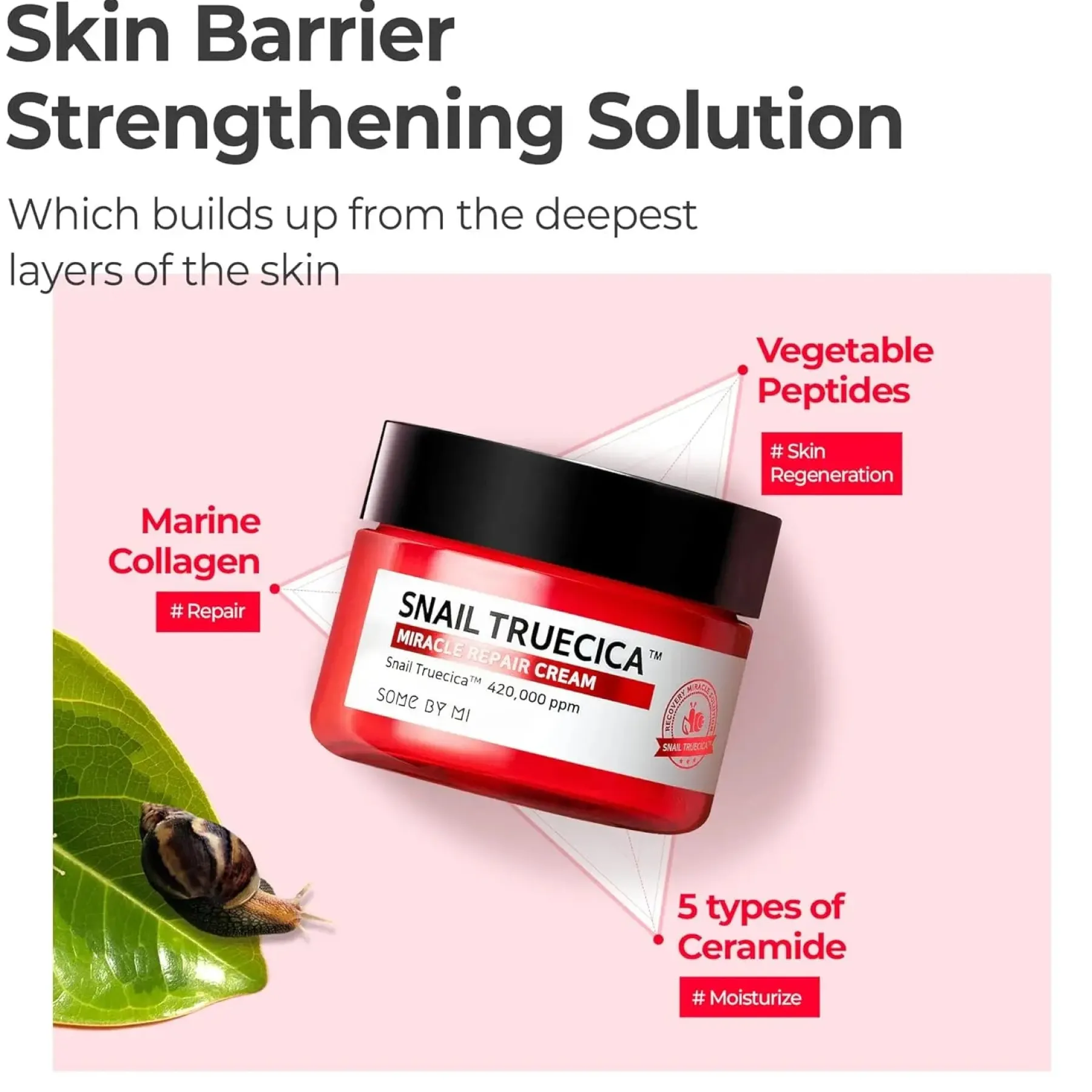 Clearance Snail Truecica Miracle Repair Cream Feuchtigkeitscremes|Hauptzutat