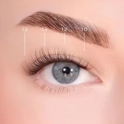 Best Soft Definition Dark Brown Pre-Glued Lashes Künstliche Wimpern