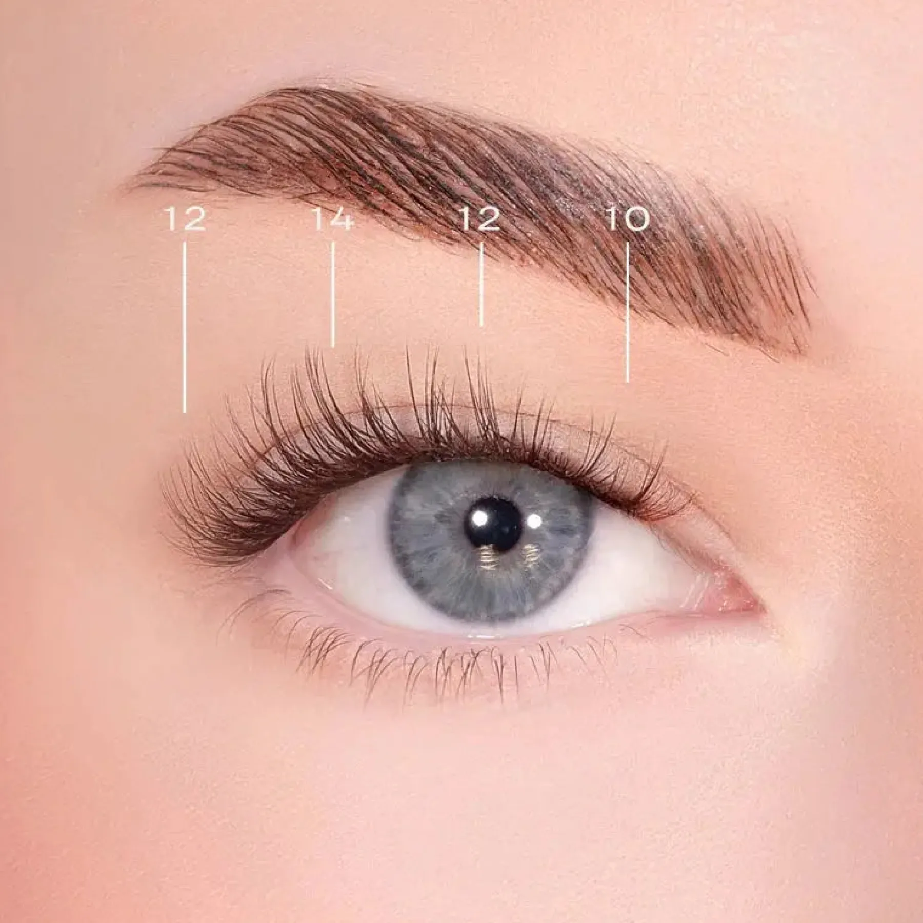 Best Soft Definition Dark Brown Pre-Glued Lashes Künstliche Wimpern
