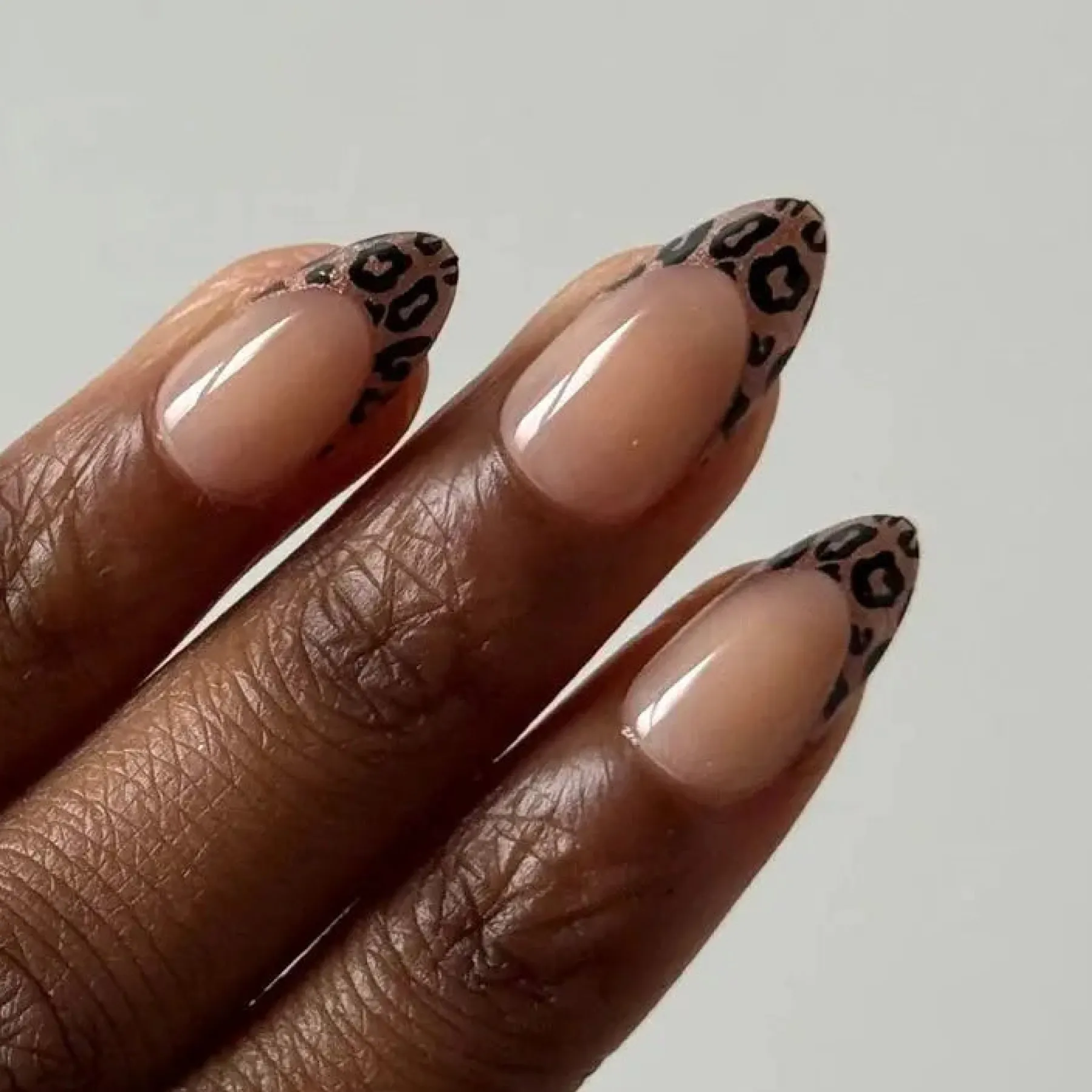 Outlet Soft Gel Press-On Nails Untamed Künstliche Nägel