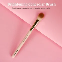 Online Soft Pink & Gold Brightening Concealer Brush Concealer|Tön Mehr