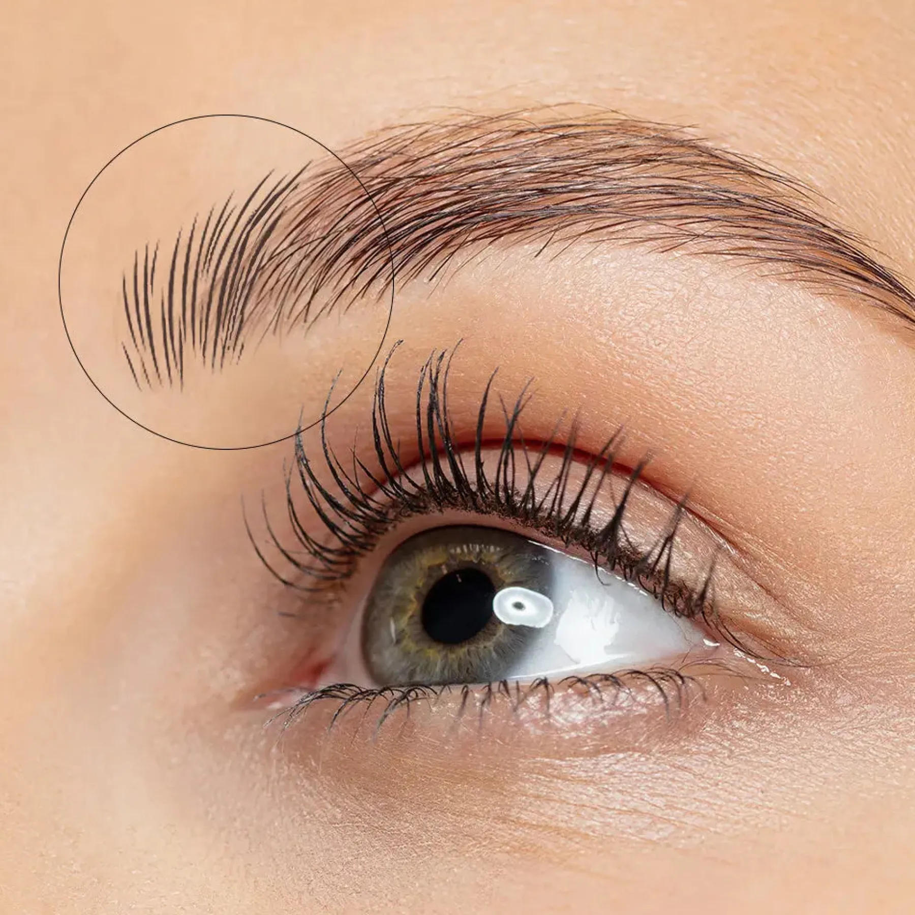New Soft Pink & Gold Square Angled Brow Brush Tön Mehr