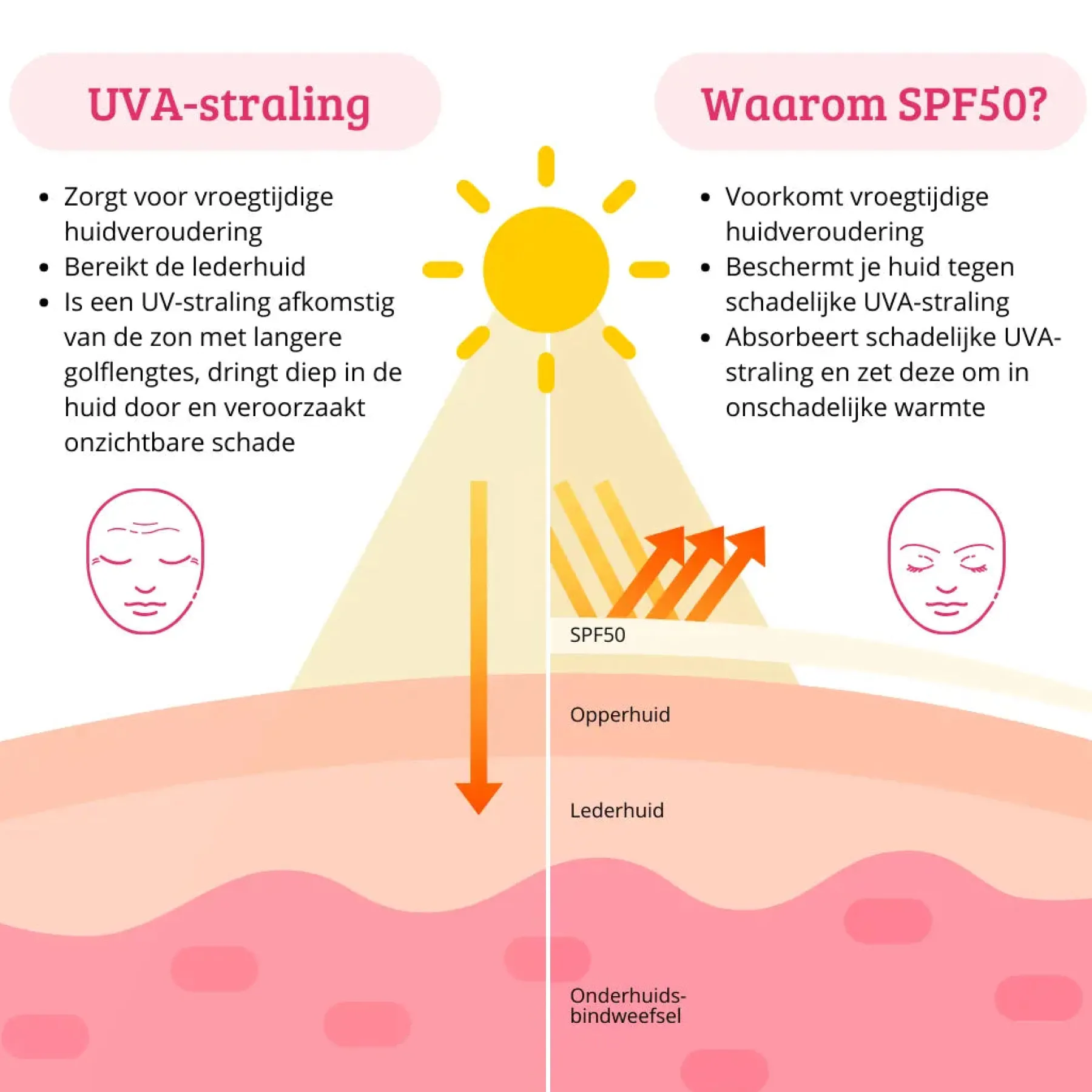 Best SPF50 Lightweight Sun Cream Clean Beauty|Hauptzutat