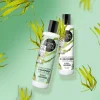 New Strengthening Conditioner Anti Hair Loss Algae and Lemongrass Haarprobleem|Vegane Haarpflege