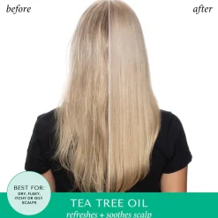 Online Tea Tree Oil & Rosemary Invigorating Shampoo Vegane Haarpflege|Haarprobleem