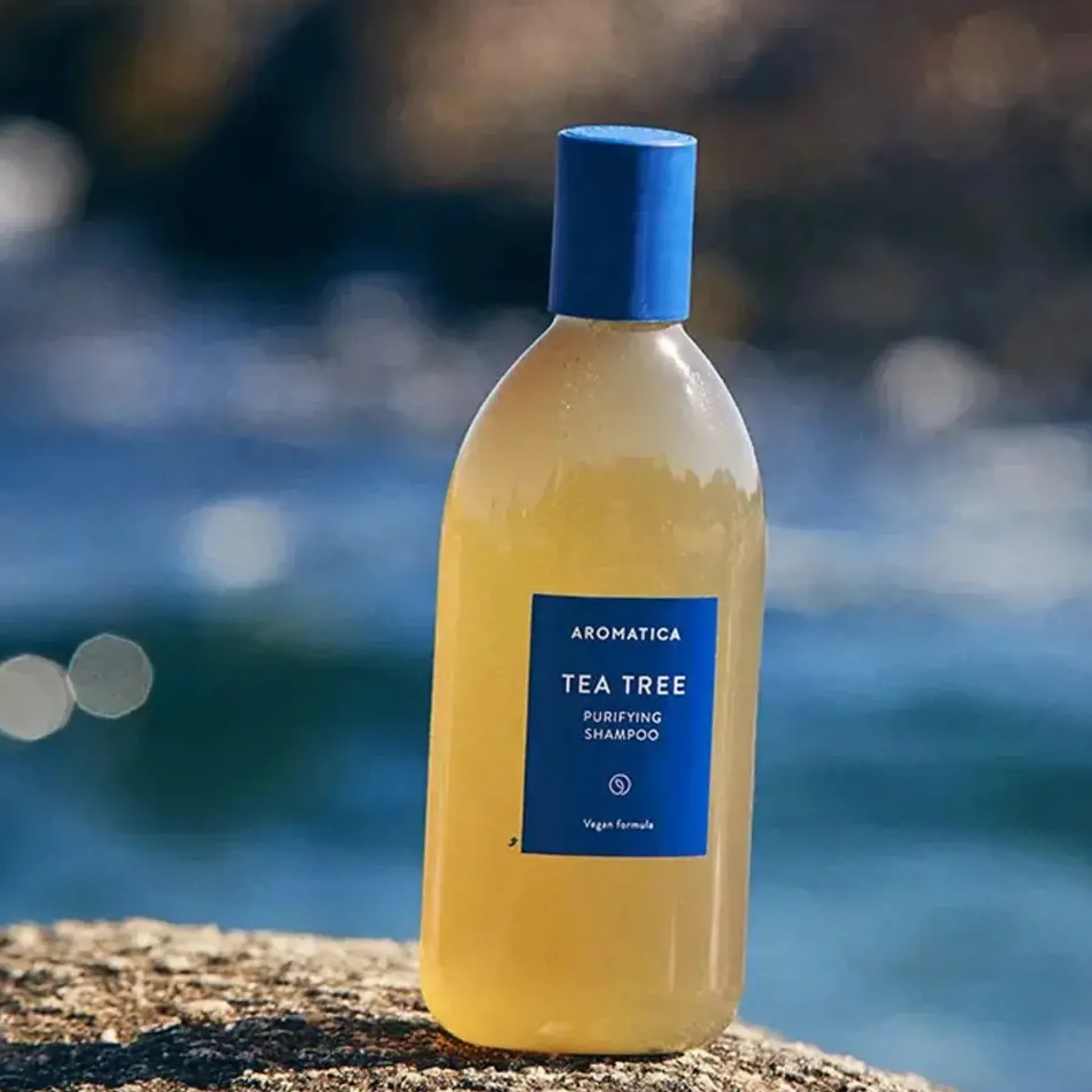 Online Tea Tree Purifying Shampoo Korean Haarpflege|Shampoo