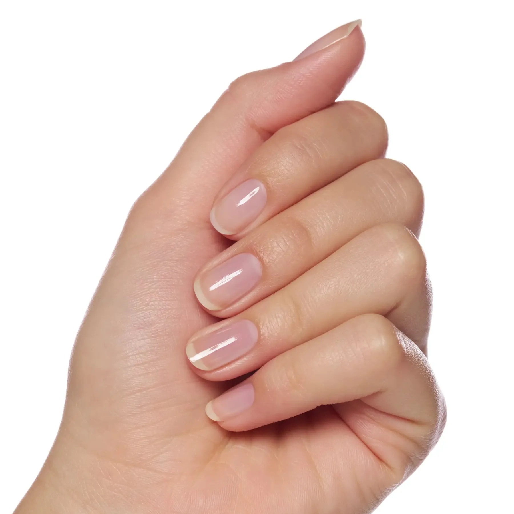 Discount The Active Whitener Base Coat Nagellack Basis- Und Decklacke|2. Base Coats