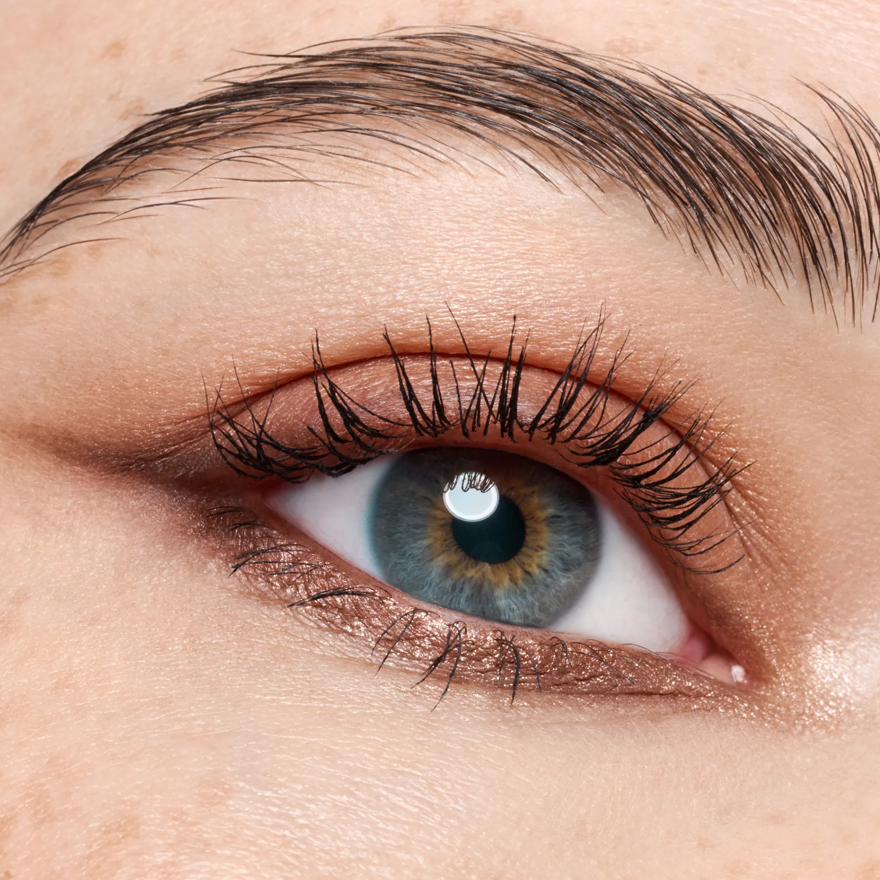 Hot The Dark Cocoa Eyeshadow Palette Lidschatten|Vegane Lidschatten