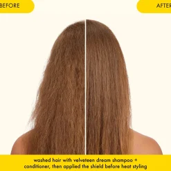 Best The Shield Anti-Humidity Spray Styling Spray|Haarprobleem