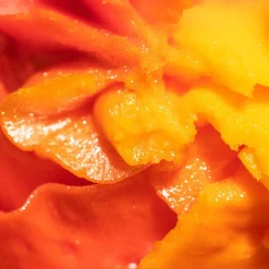 Discount Tropical Shave Butter Vegan Pflege|Rasieren & Enthaarung