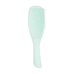 Online Ultimate Detangler Fine & Fragile Ice Blue Curly & Coily Accessories|Haarprobleem