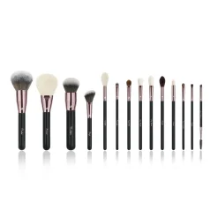 Online Ultimate Pro 14 pc Starter Full Set Tön Mehr|Makeup Pinsel Sets