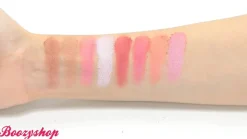 Ultra Blush Palette Sugar and Spice Rouge