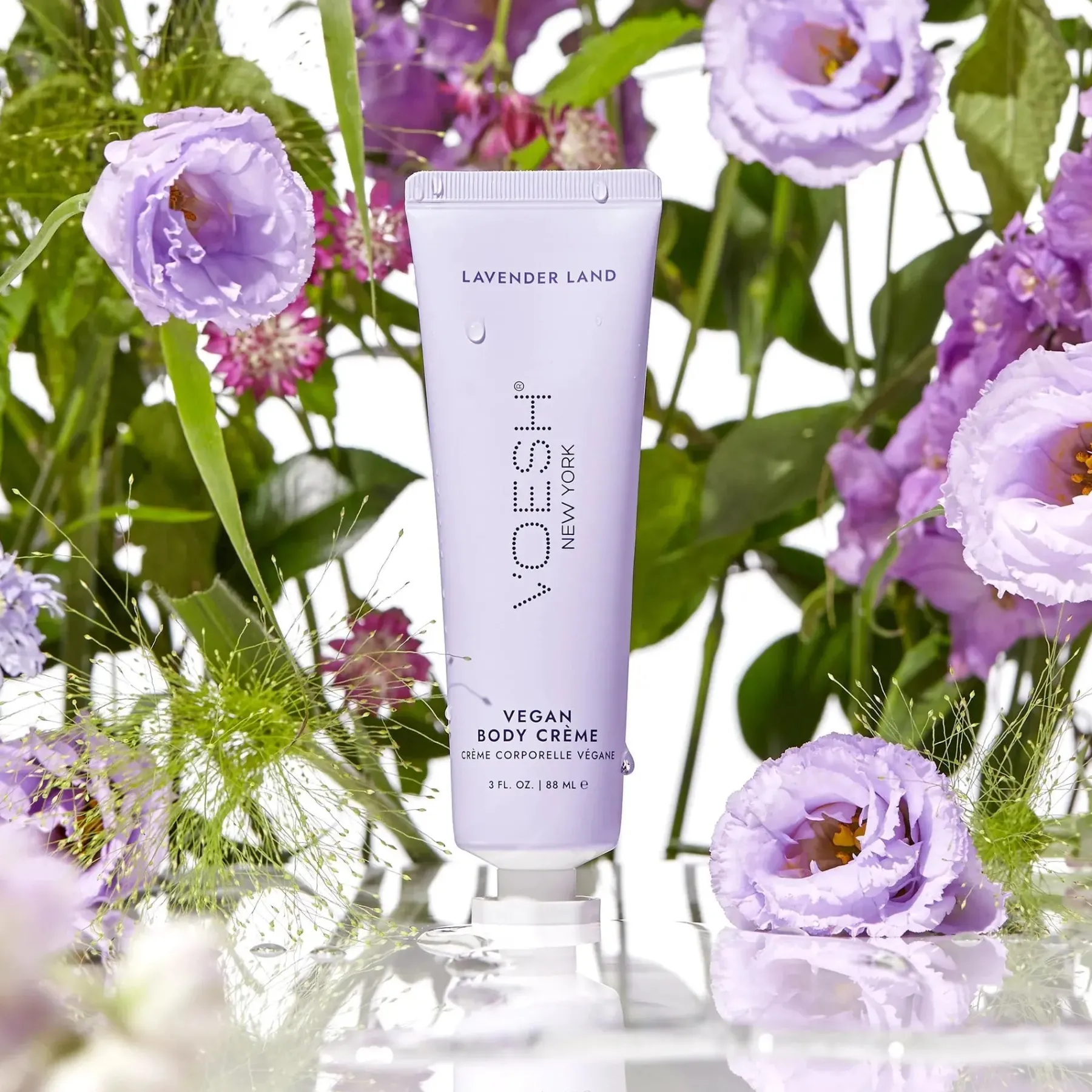 Best Vegan Body Cream Lavender Land Everything Shower|Hautprobleme