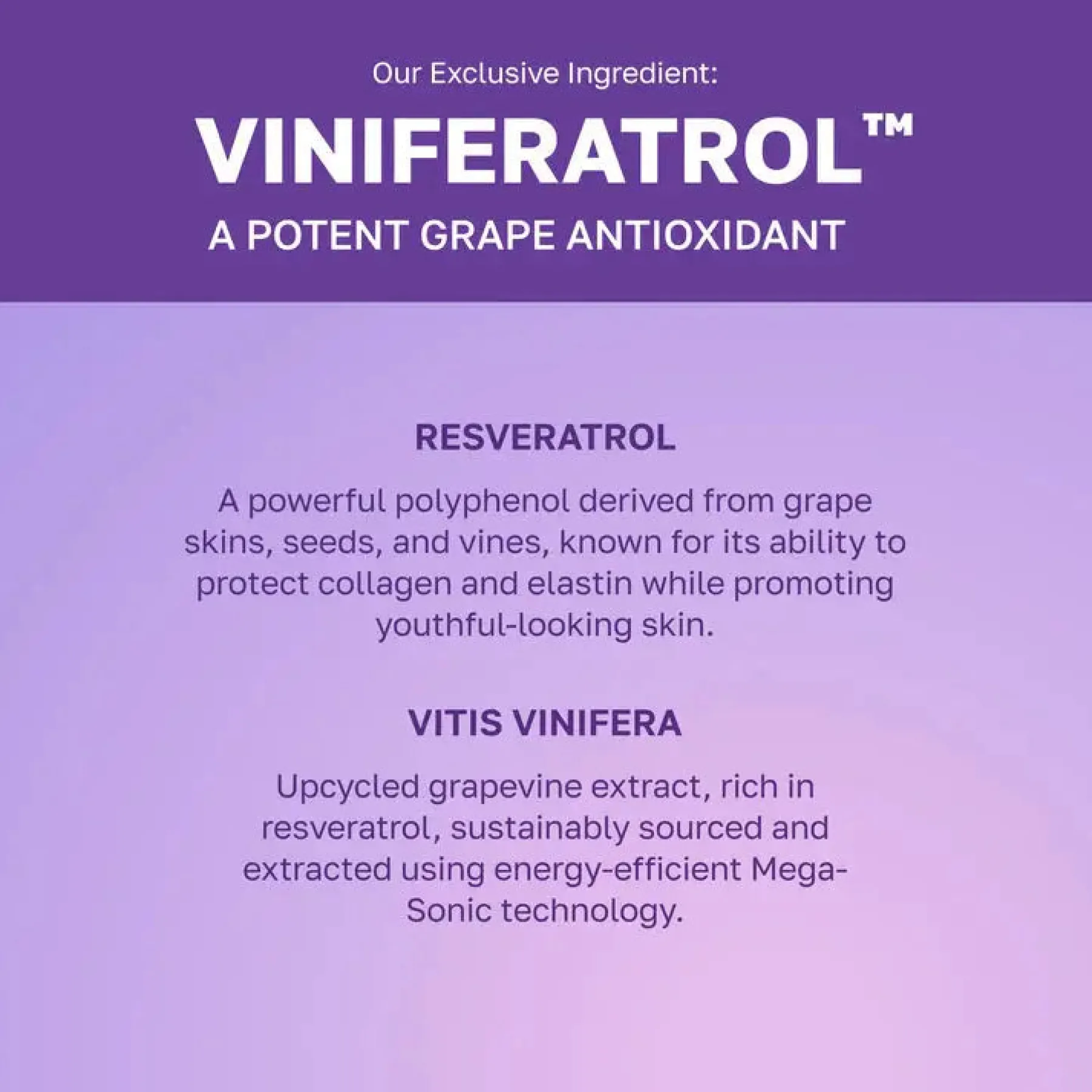Sale Vinoberry Moisture Firming Cream Feuchtigkeitscremes|Hauptzutat