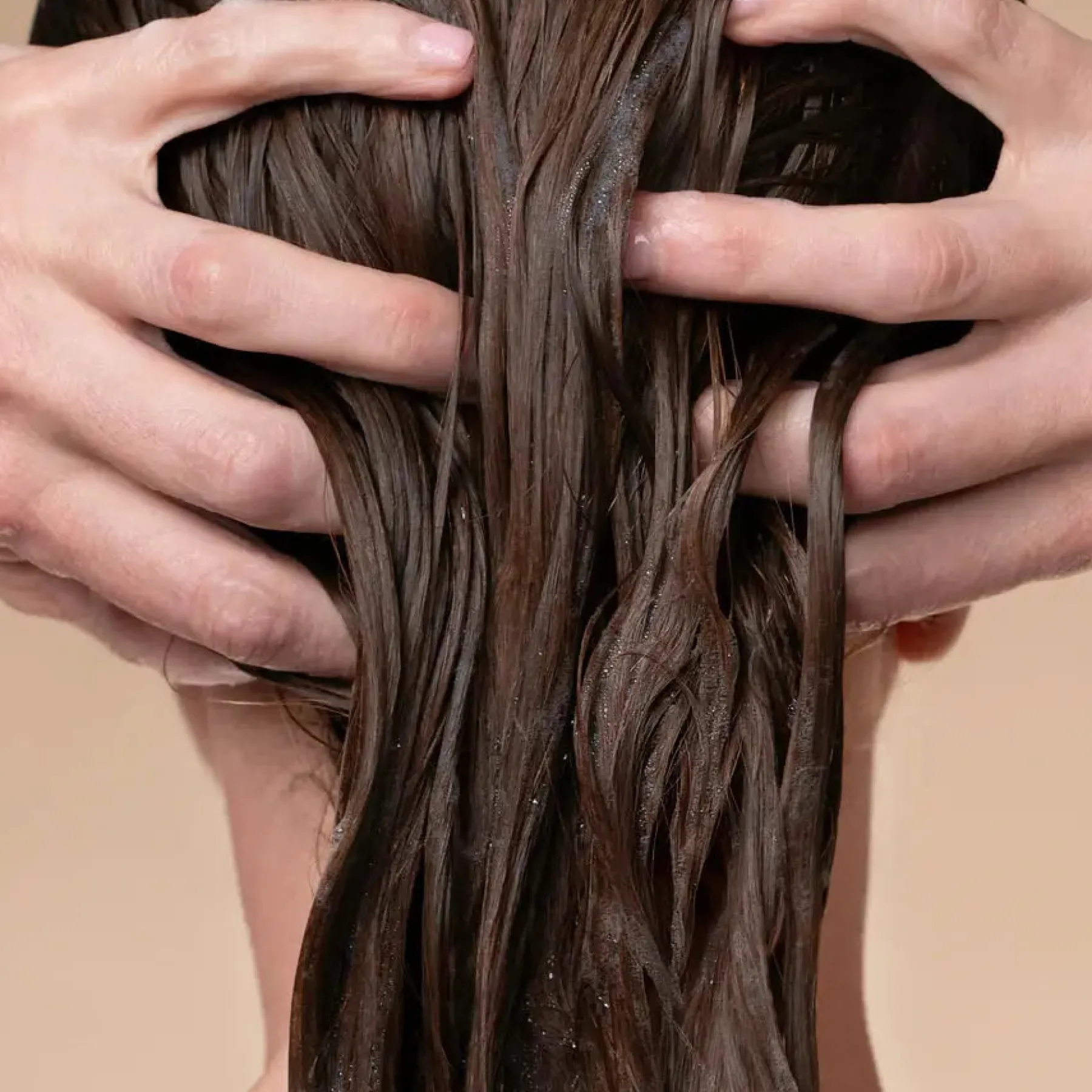 Discount Volumizing Rosemary & Biotin Conditioner Vegane Haarpflege|Healthy Hair Methode