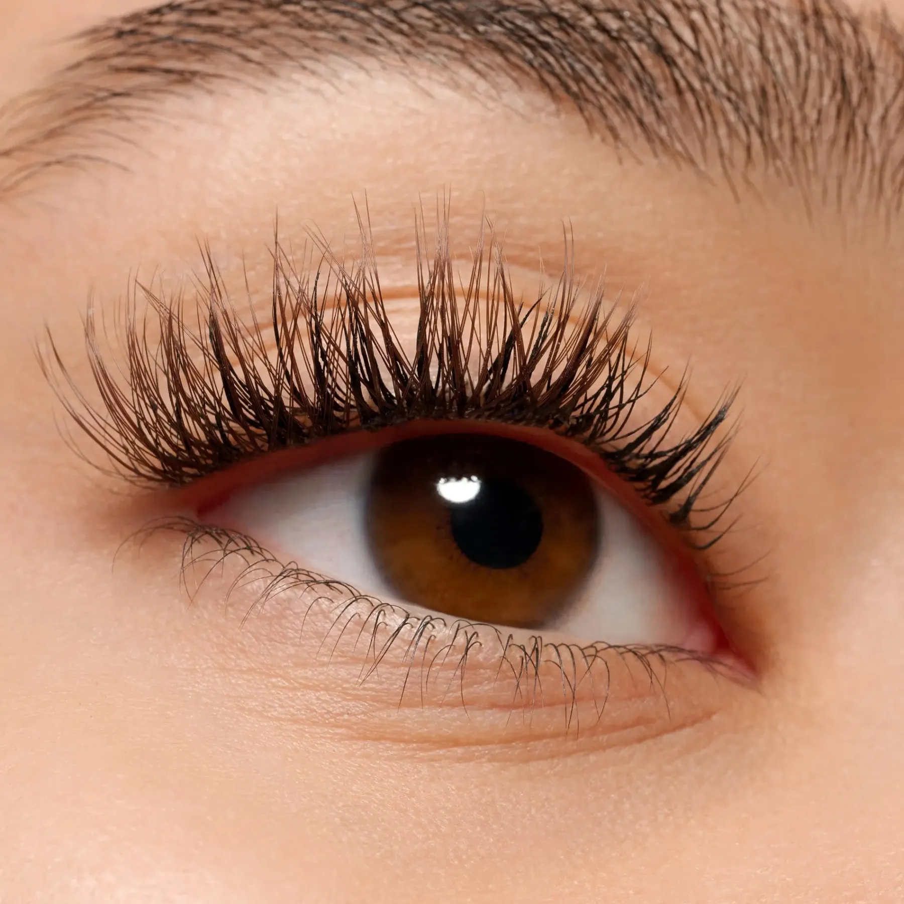 Clearance What The Fake! False Lashes 06 Natural Cluster Black Künstliche Wimpern