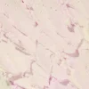 Outlet x Care Bears Share Bear Shave Butter Vegan Pflege|Rasieren & Enthaarung