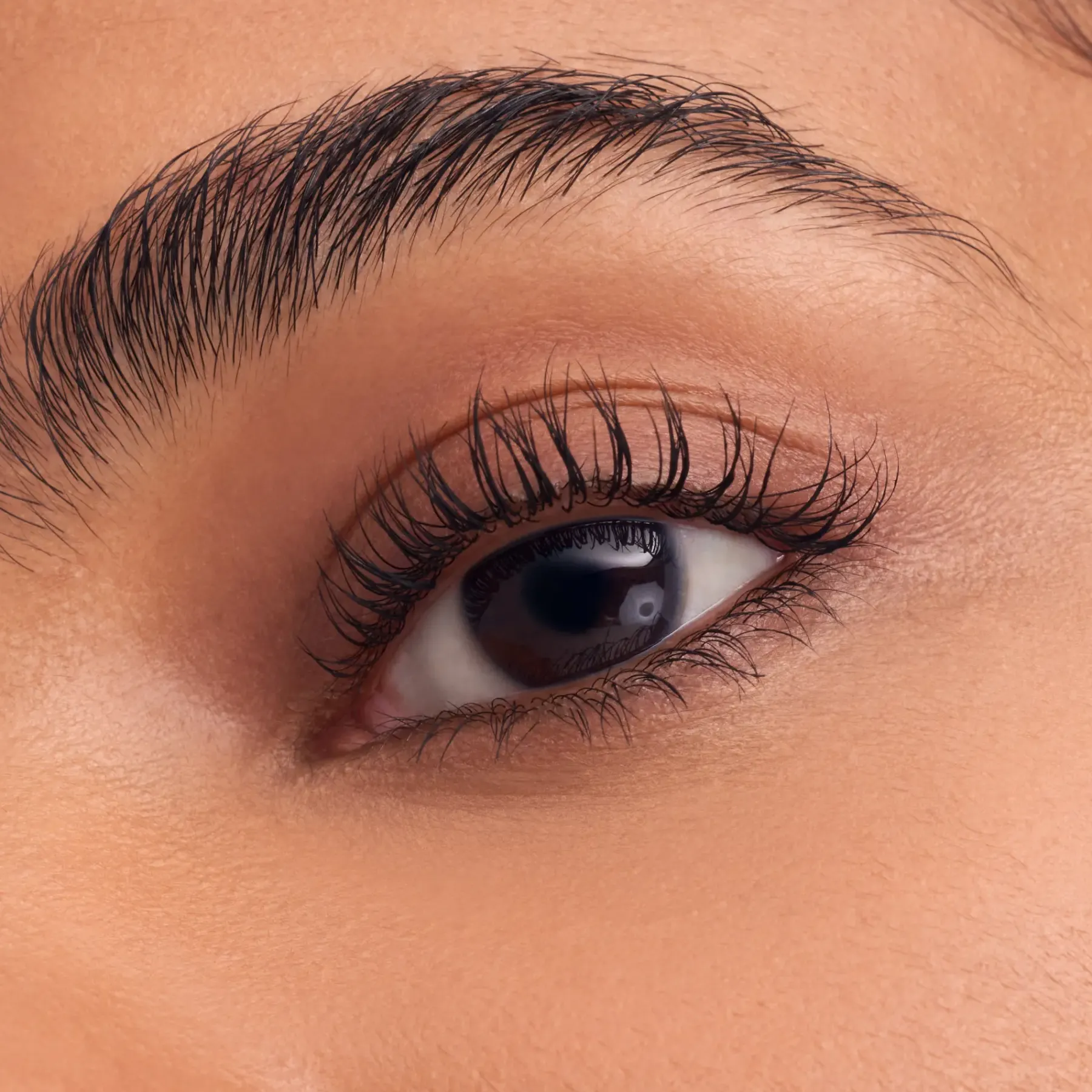 Sale X Disney The Little Mermaid Lash Without Limits Extreme Lengthening & Volume Mascara I Sea You Mascara|Vegan Mascara